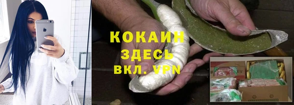 тгк Арсеньев