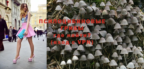 тгк Арсеньев
