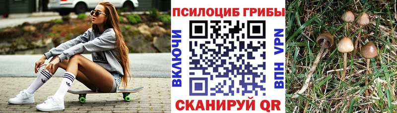 купить Рузаевка Галлюциногенные грибы Cubensis